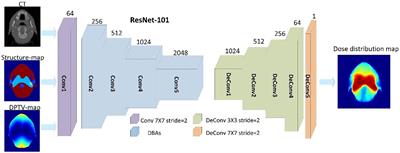 Combining distance and anatomical information for deep-learning based dose distribution predictions for nasopharyngeal cancer radiotherapy planning